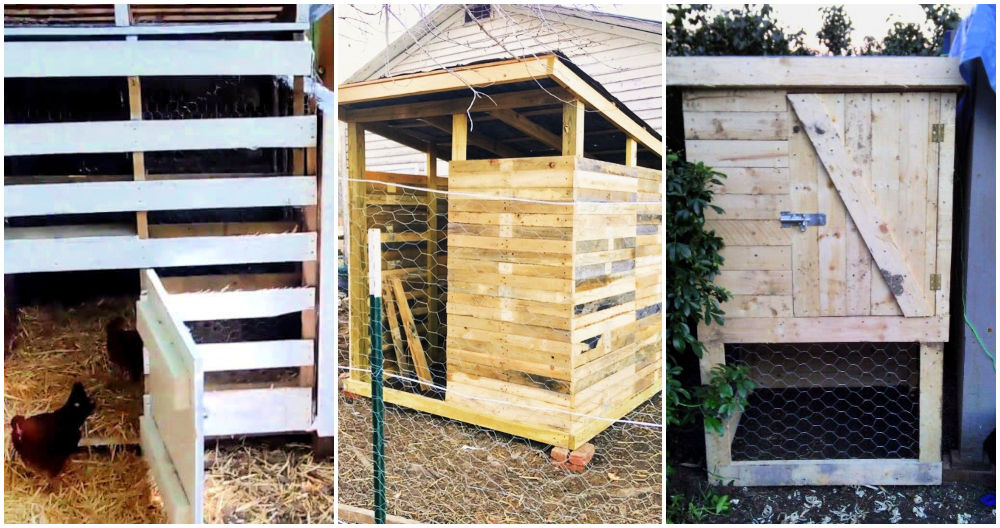 20 Pallet Chicken Coop Plans You Can Build On Low Budget 20-pallet-chicken-coop-plans-you-can-build-on-low-budget