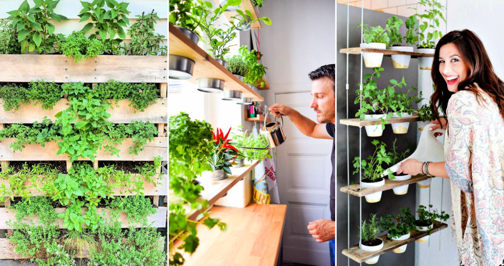 40 Diy Herb Garden Ideas For Indoor, Diy Countertop Herb Garden