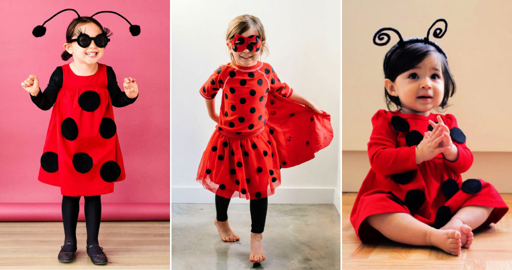15 DIY Ladybug Costume Ideas (Make Holloween Costume)
