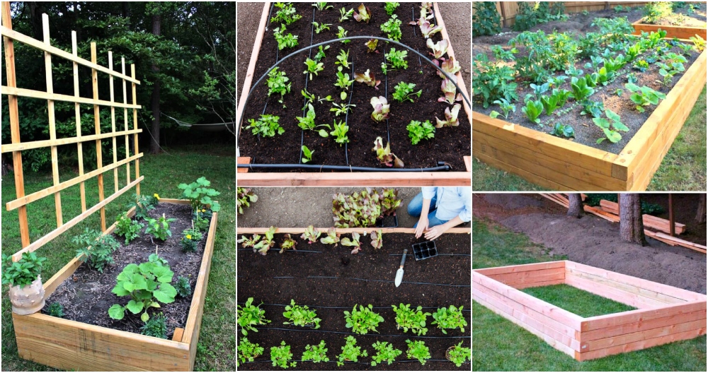 35 DIY Raised Garden Bed Ideas (Free PDF Plans)