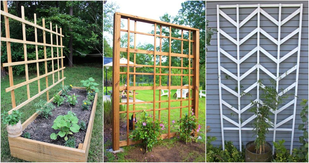 30 DIY Trellis Ideas for Your Garden