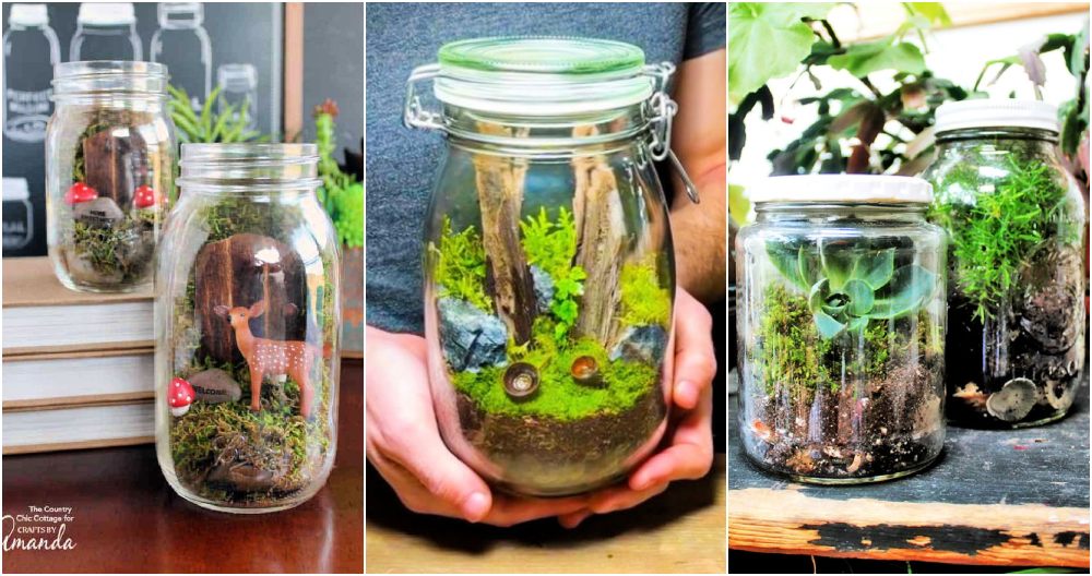 25 Easy Terrarium in a Jar Ideas to Make DIY Crafts