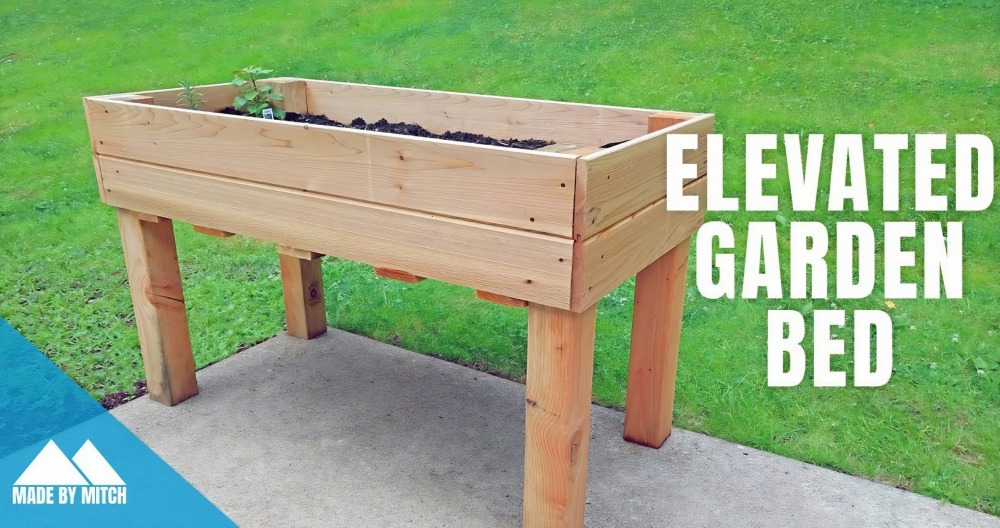 Building a DIY Elevated Garden Bed