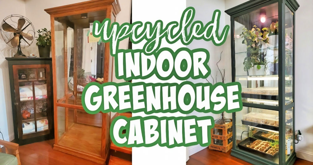 DIY Indoor Greenhouse for Your Home