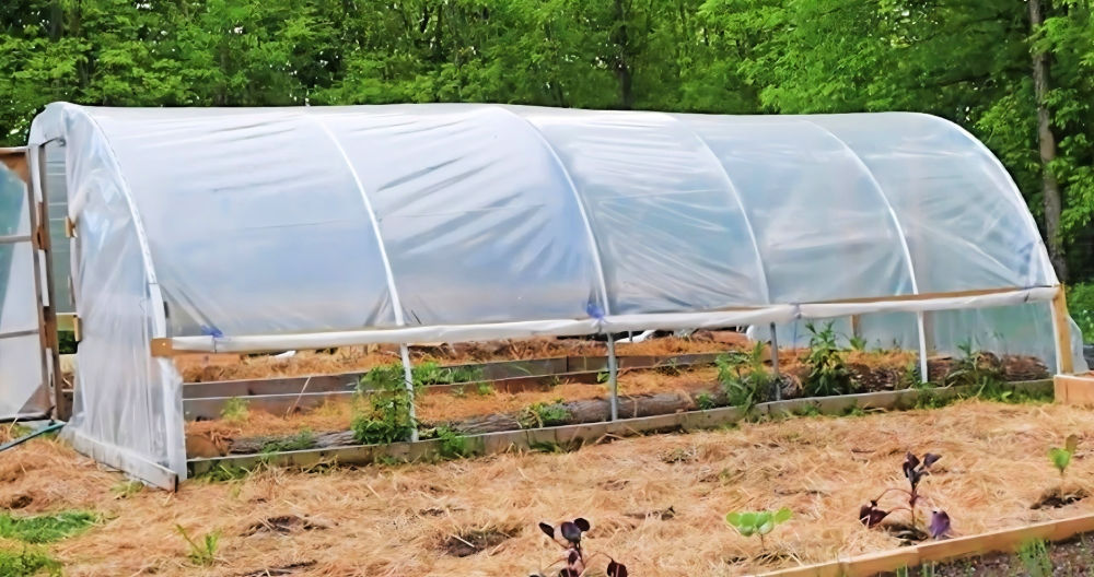 DIY Hoop House: Step-by-Step Instructions