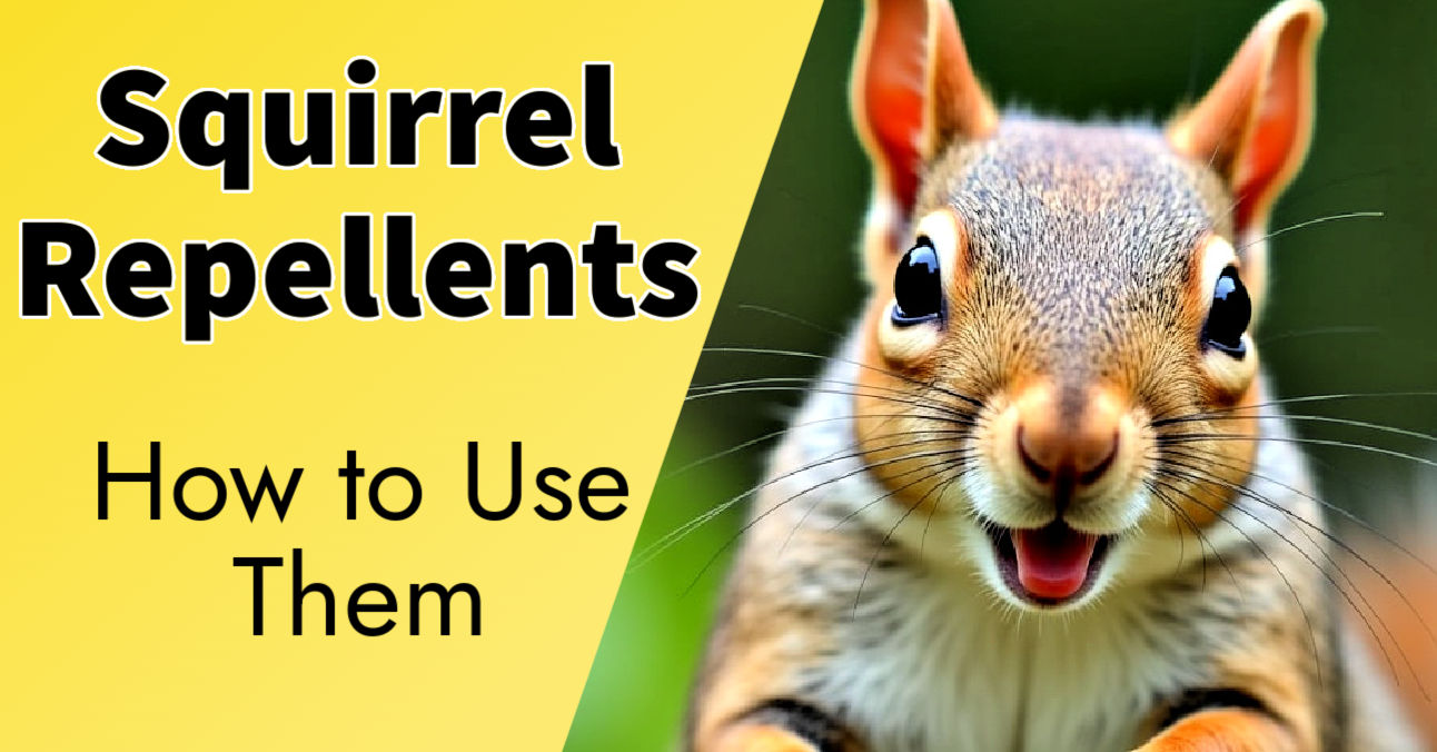Top 10 Natural Squirrel Repellents Scents They Dislike